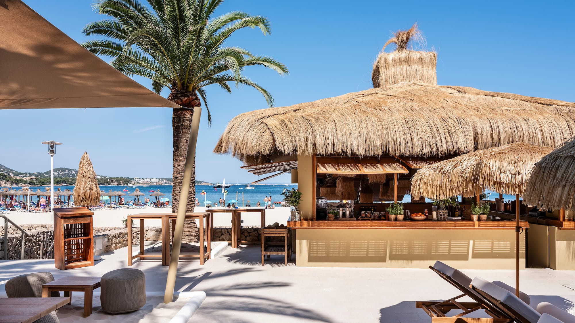 a beach bar with palm trees and chairs