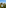 Resort pool, white buildings, palm trees, and lush tropical landscaping.