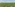Tropical banana field next to the blue ocean under a bright sky.