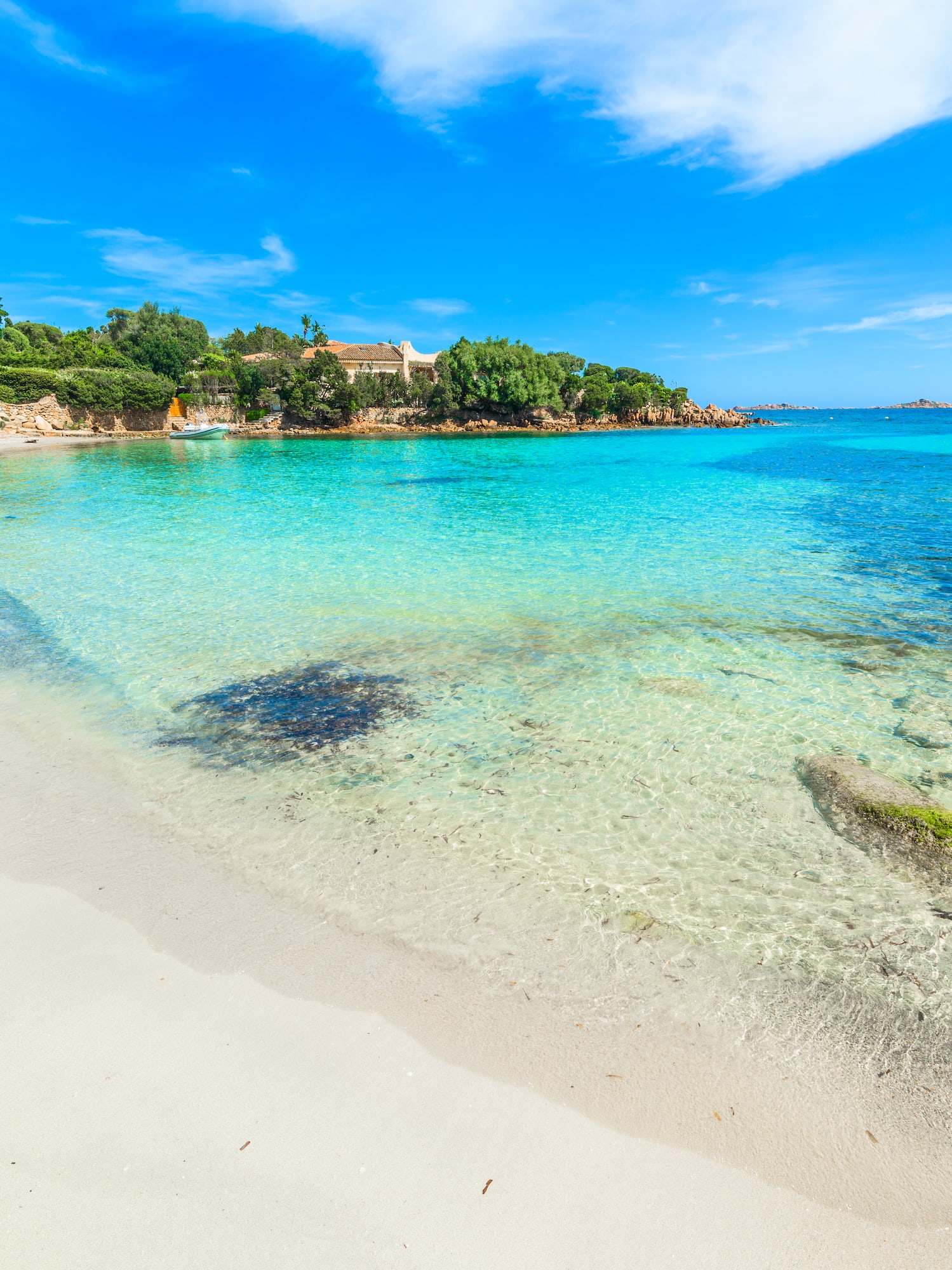 a beach with clear water and trees