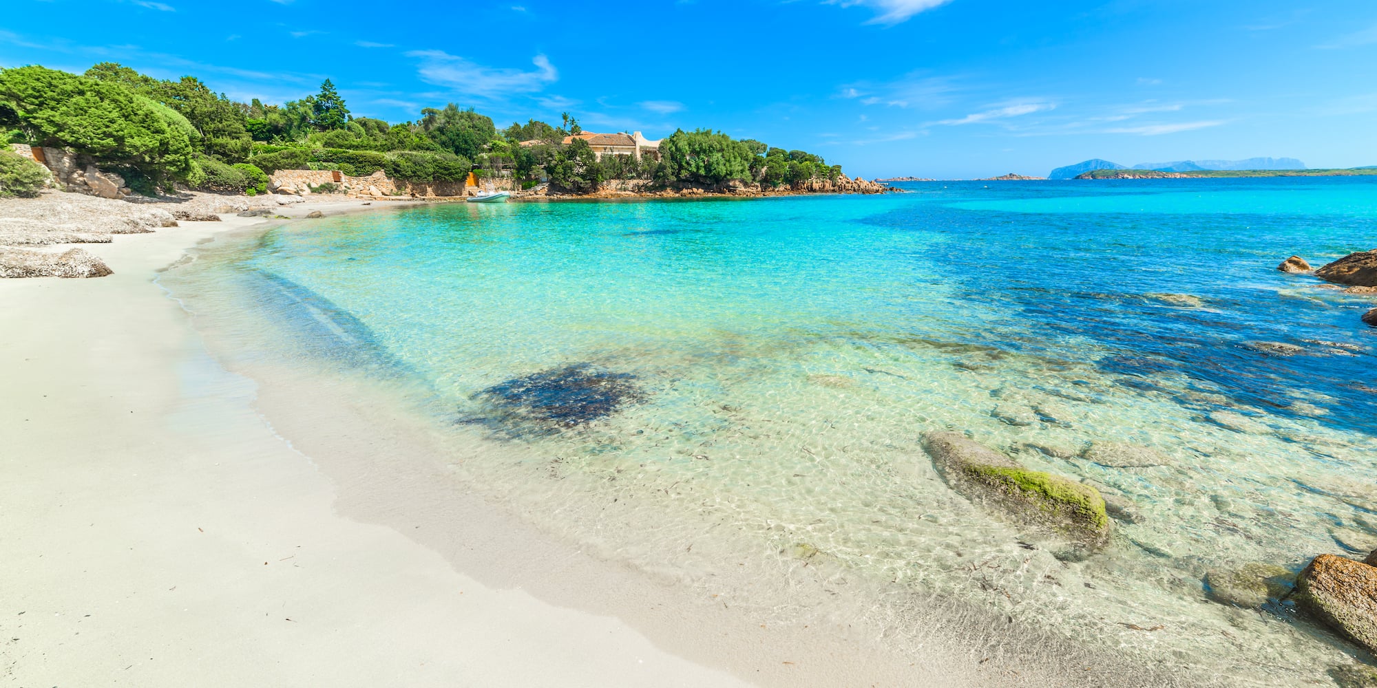 a beach with clear water and trees