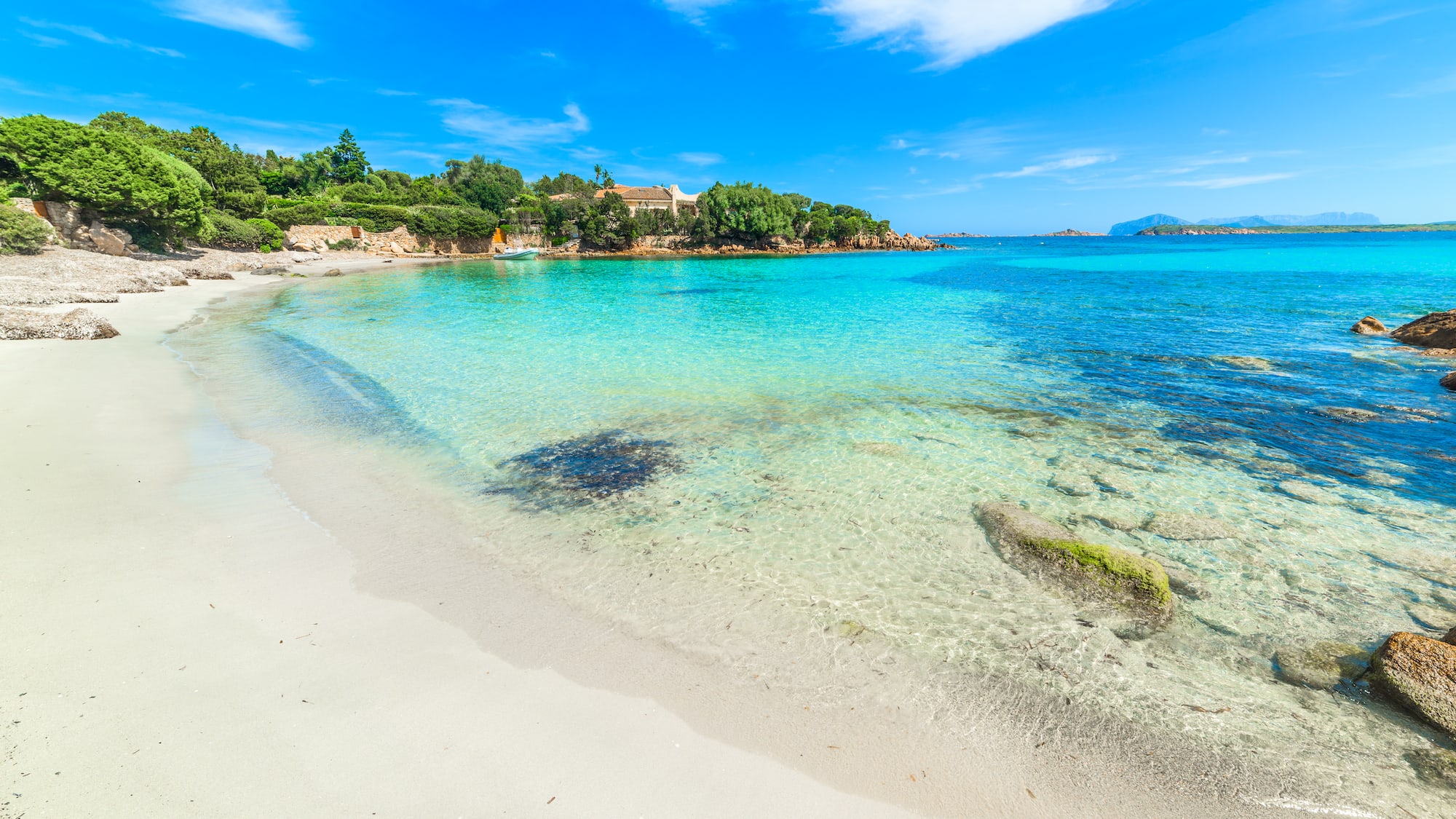 a beach with clear water and trees