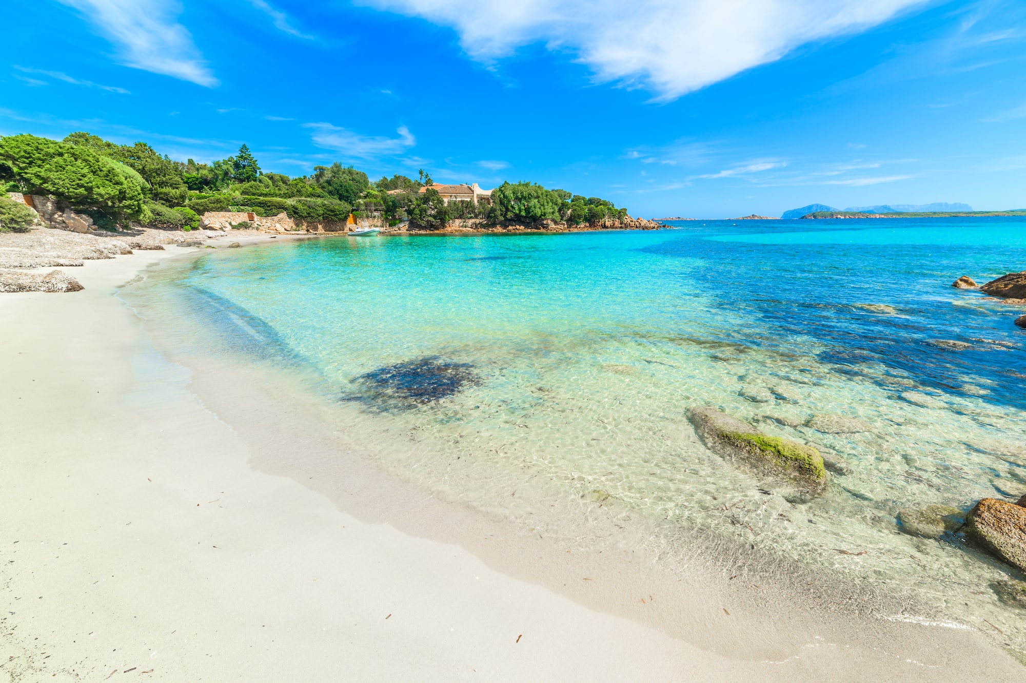 a beach with clear water and trees