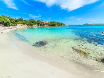 a beach with clear water and trees