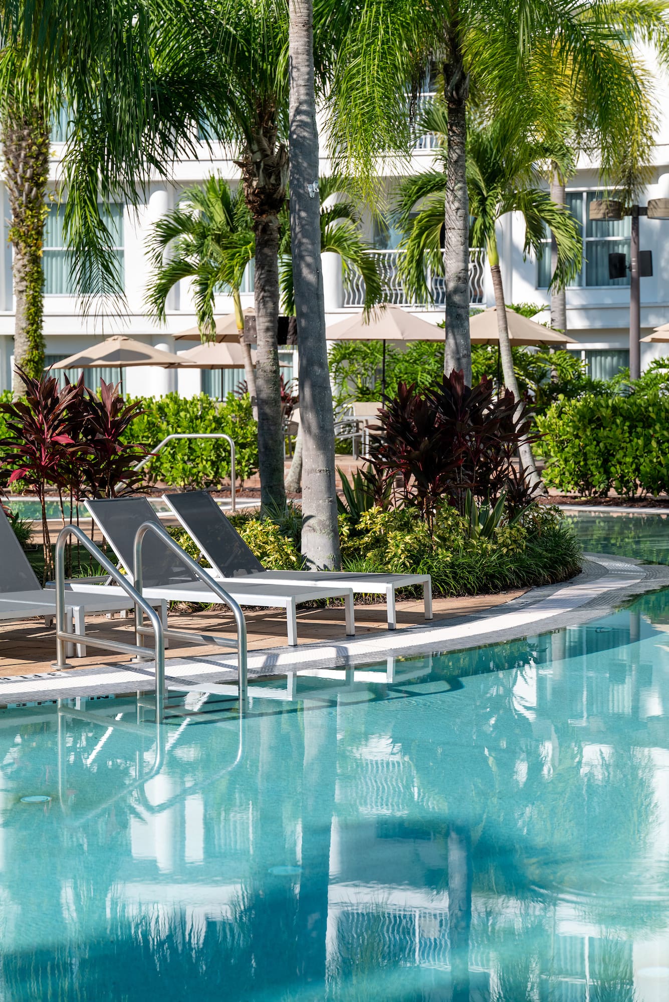a pool with lounge chairs and palm trees