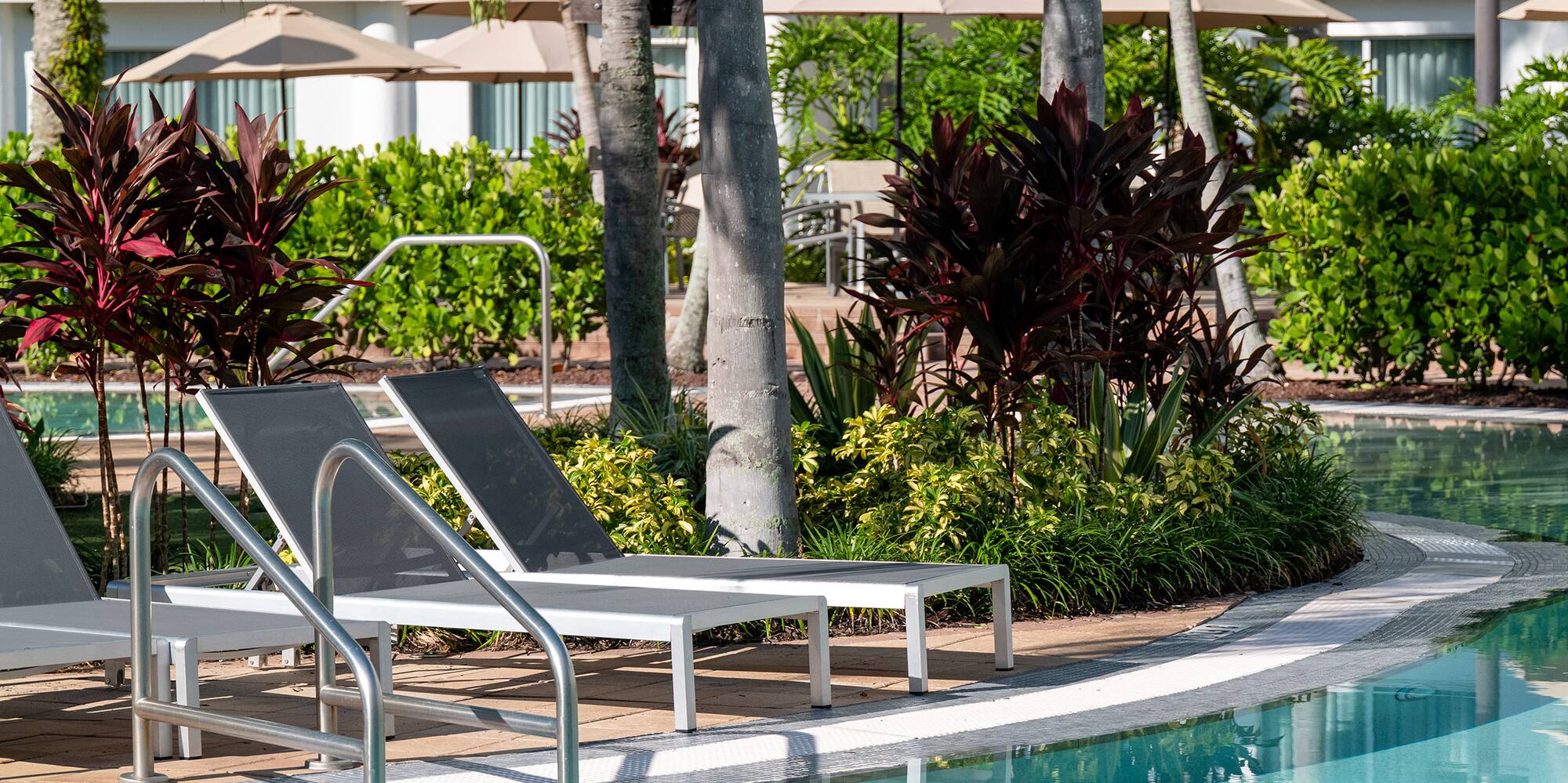 a pool with lounge chairs and palm trees