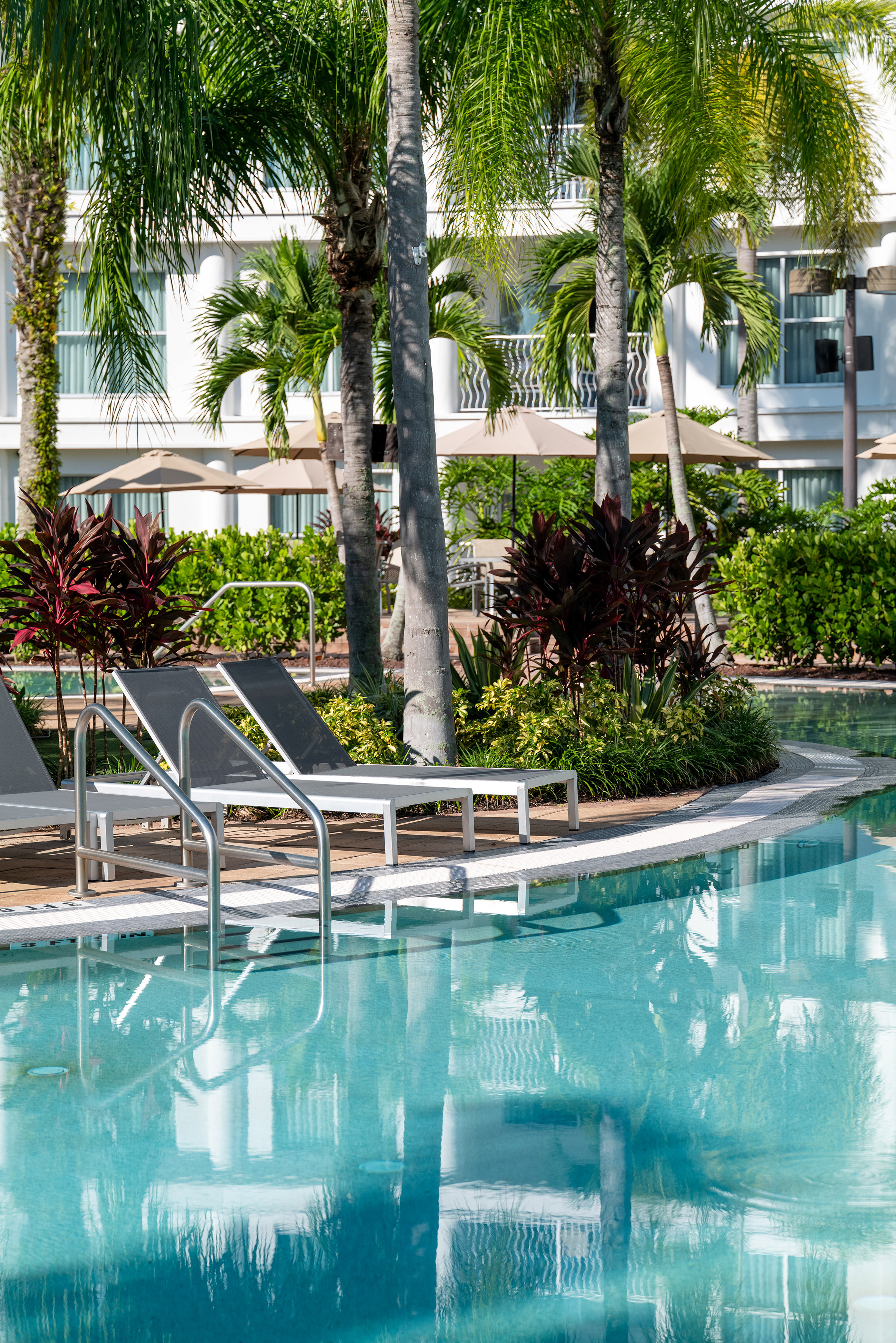 a pool with lounge chairs and palm trees