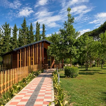 a house with a fence and grass