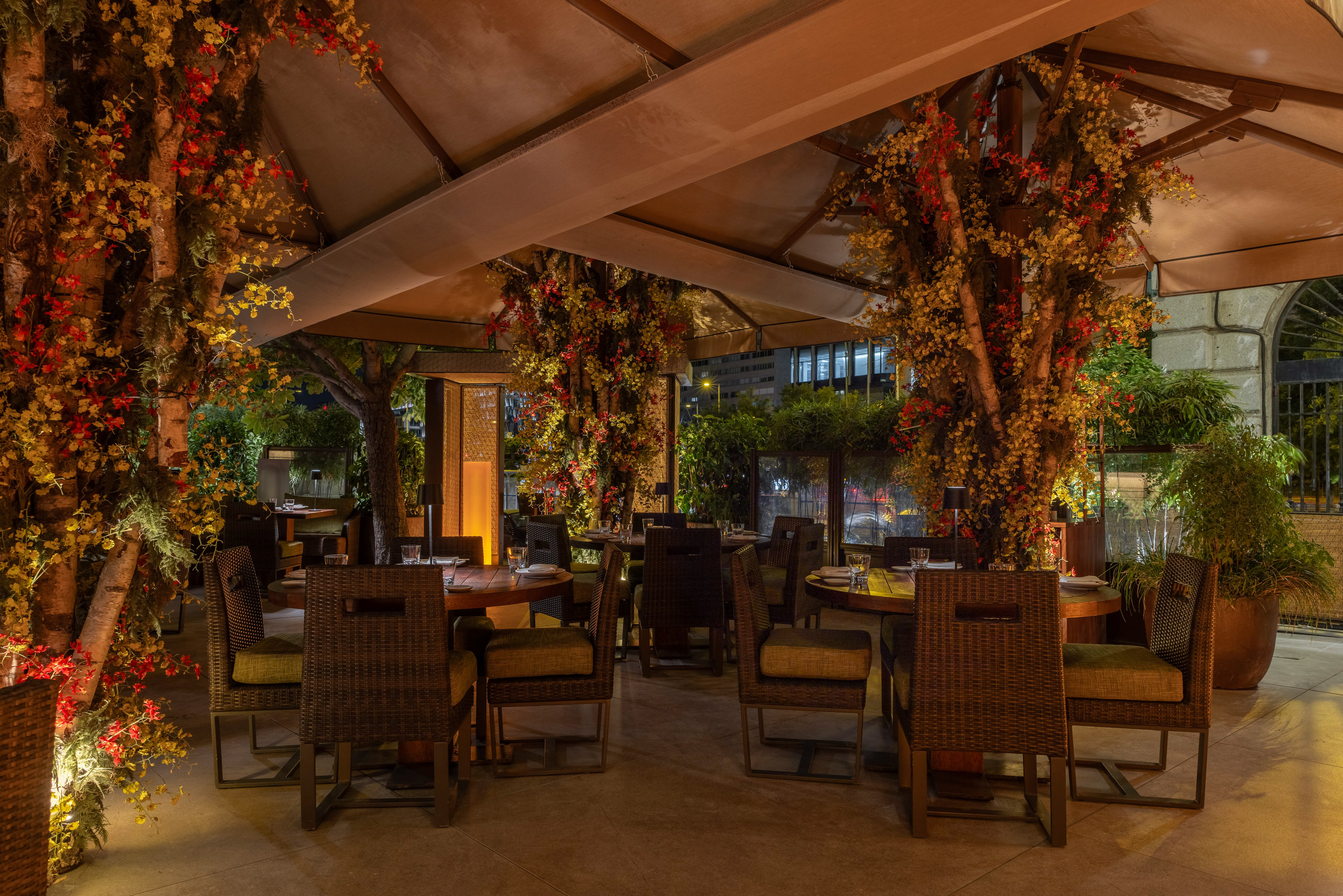 Elegant outdoor dining patio with illuminated trees and vibrant foliage decor.