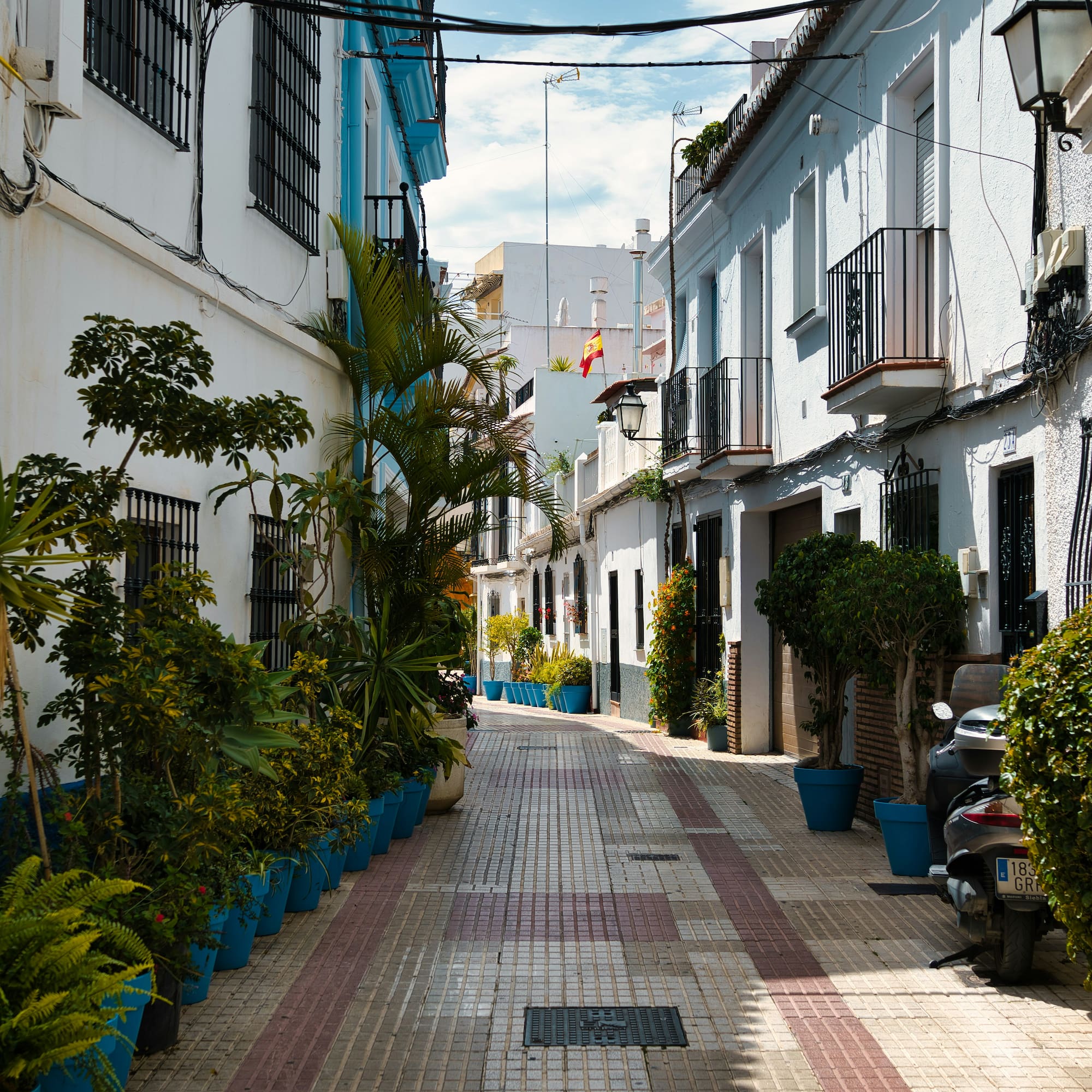 a street with plants and buildings