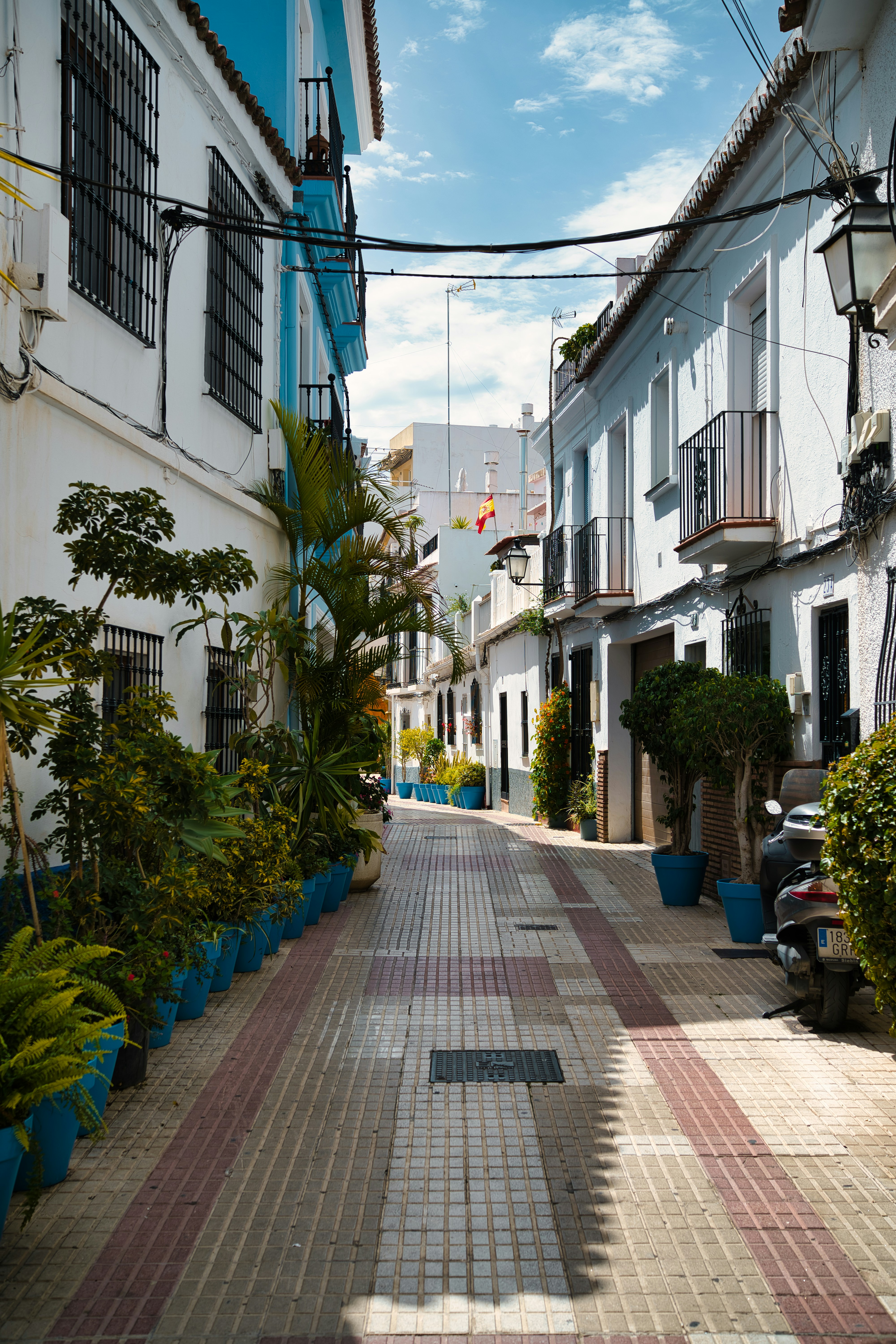 a street with plants and buildings