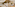 a reception desk in a hotel