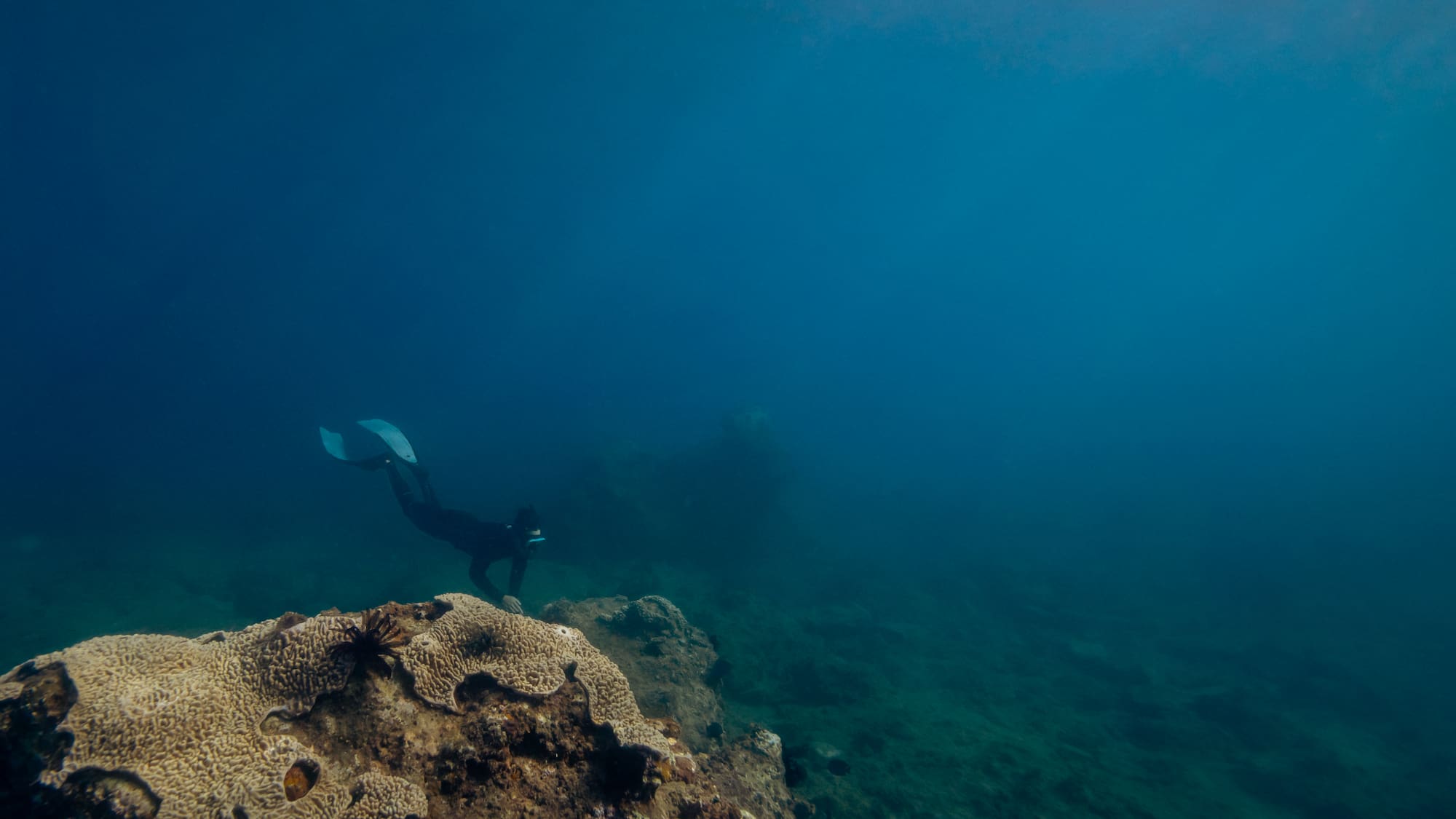a person in a scuba gear swimming under water