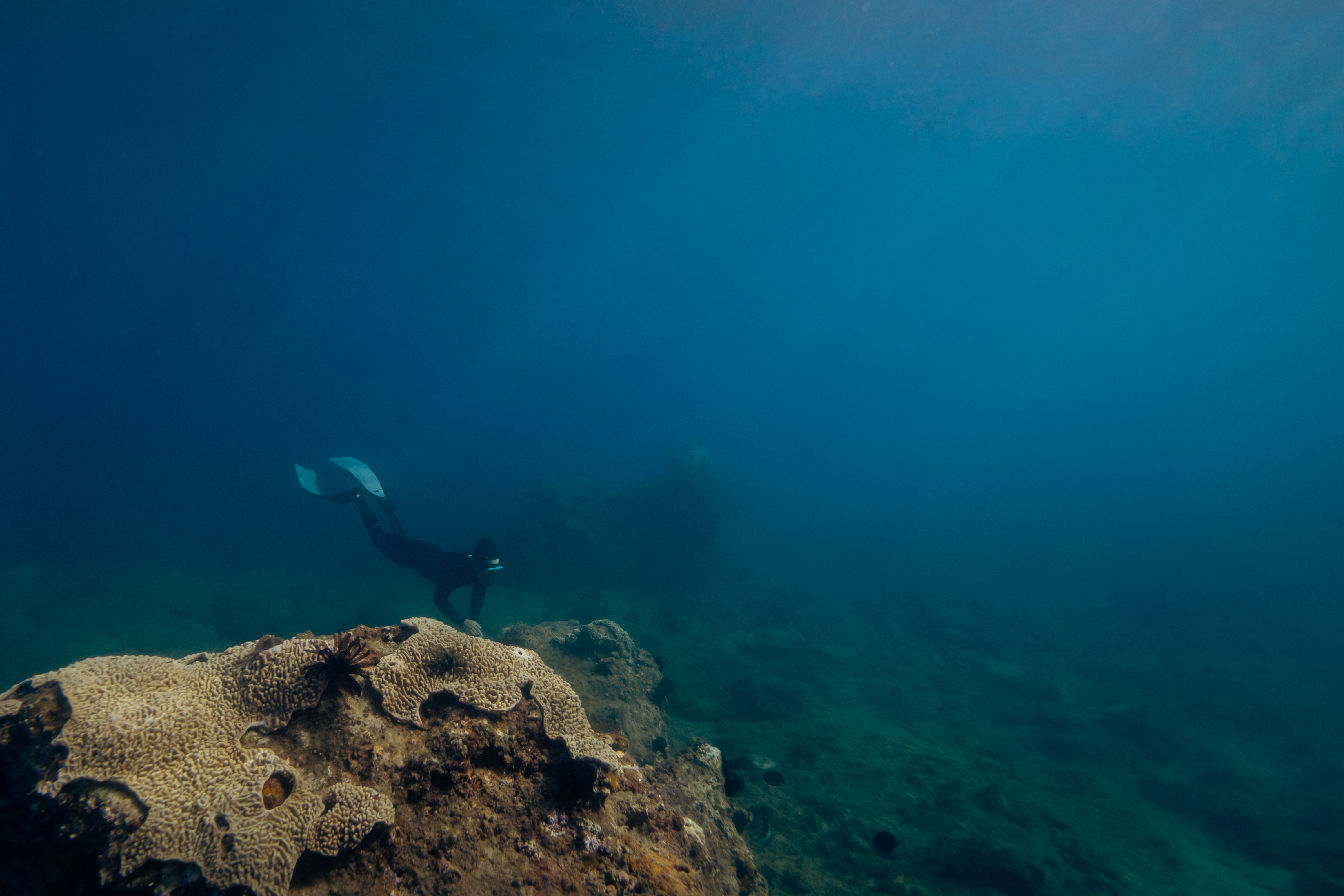a person in a scuba gear swimming under water