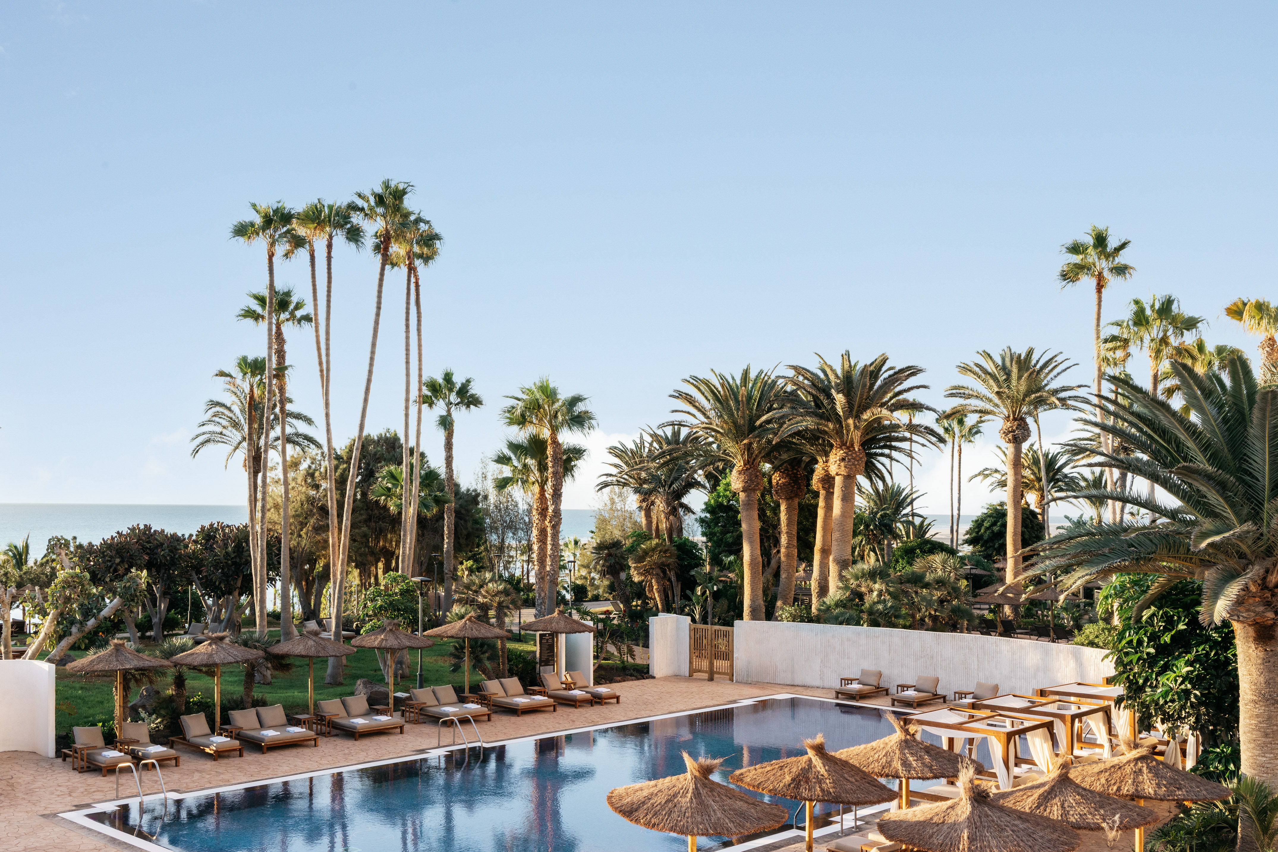 Luxury resort pool surrounded by palm trees, sun loungers, and sea.