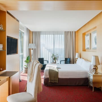 a room with a bed and a tv