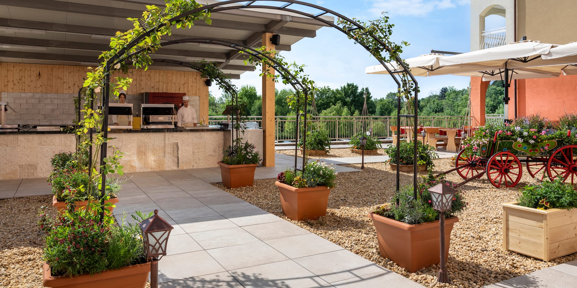 a patio with a pergola and plants