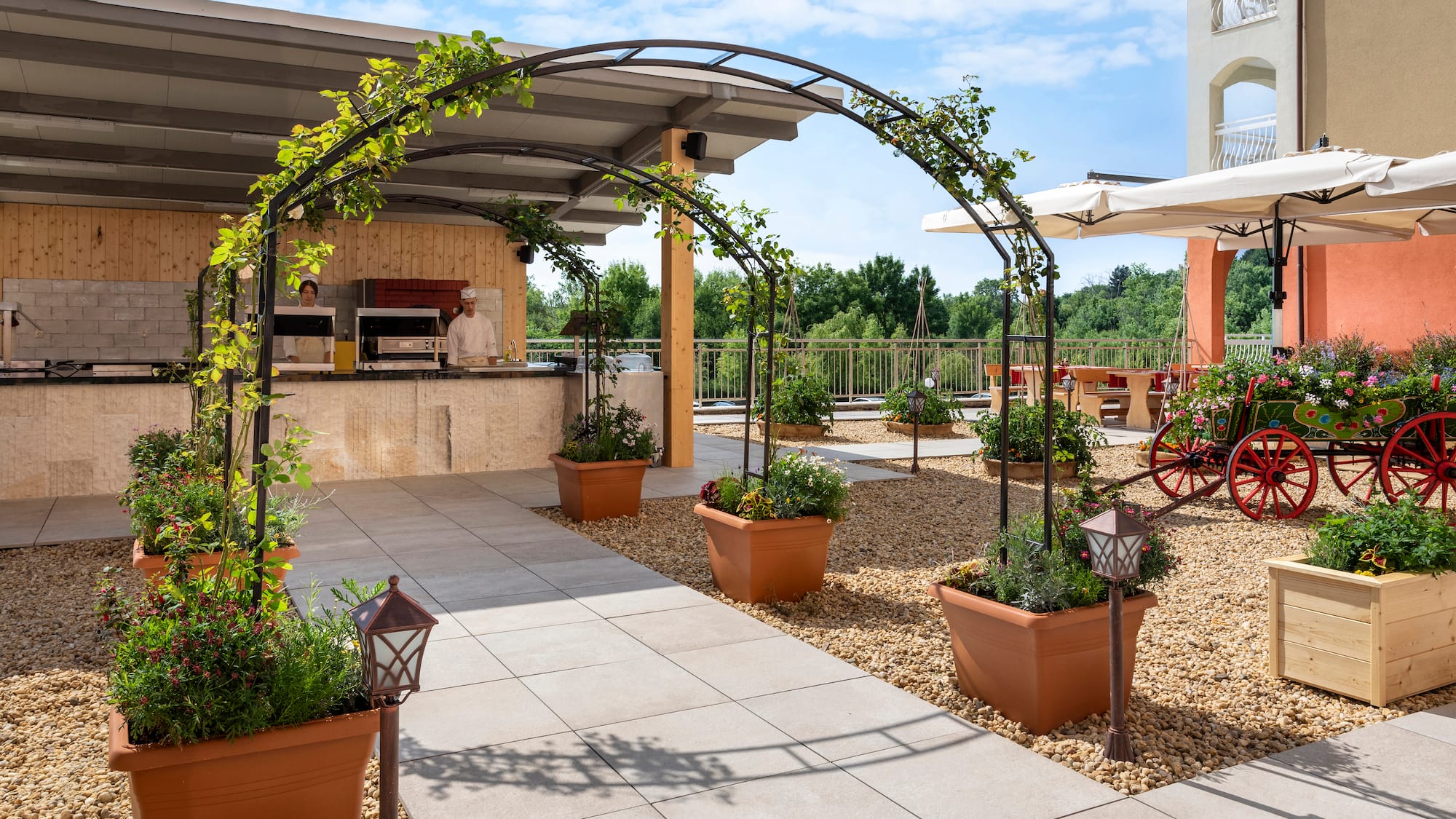 a patio with a pergola and plants