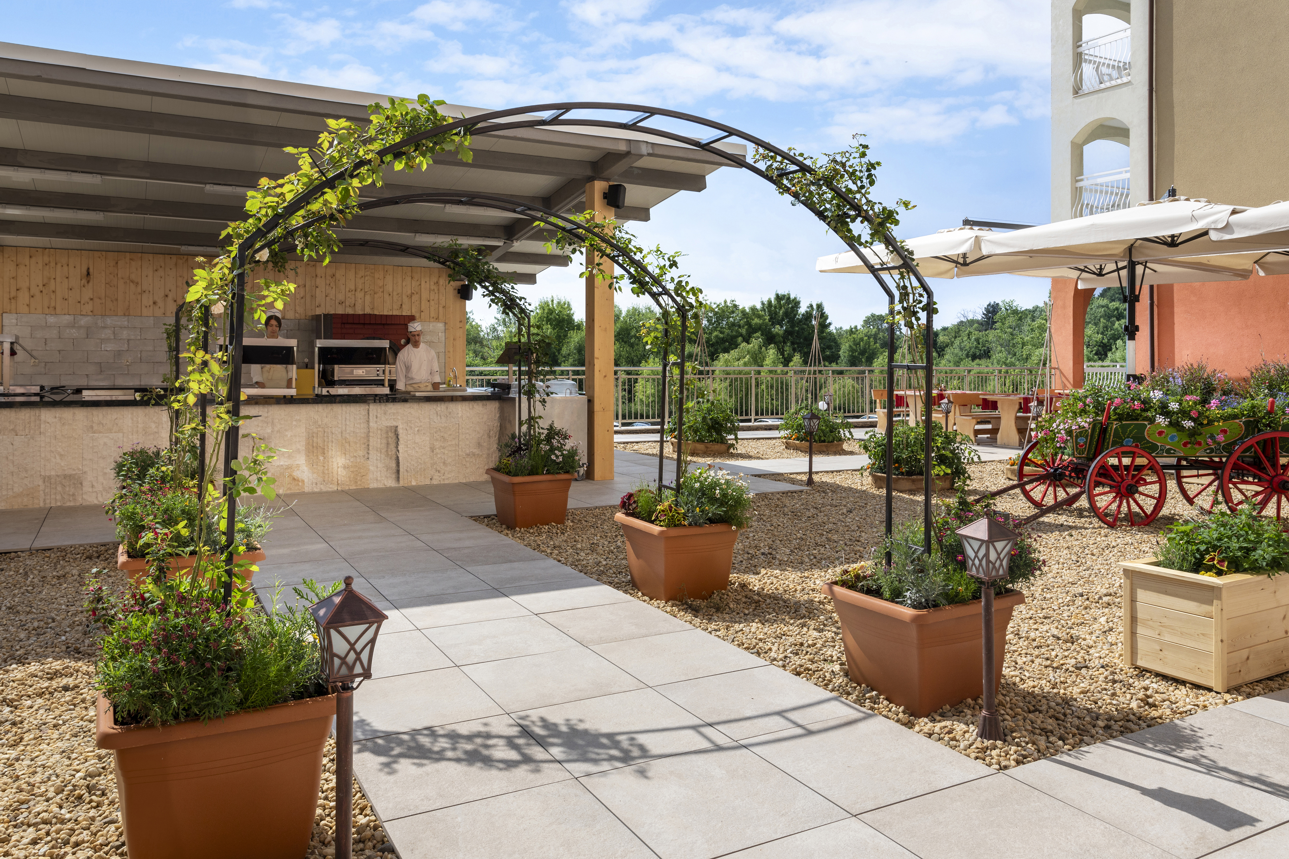 a patio with a pergola and plants