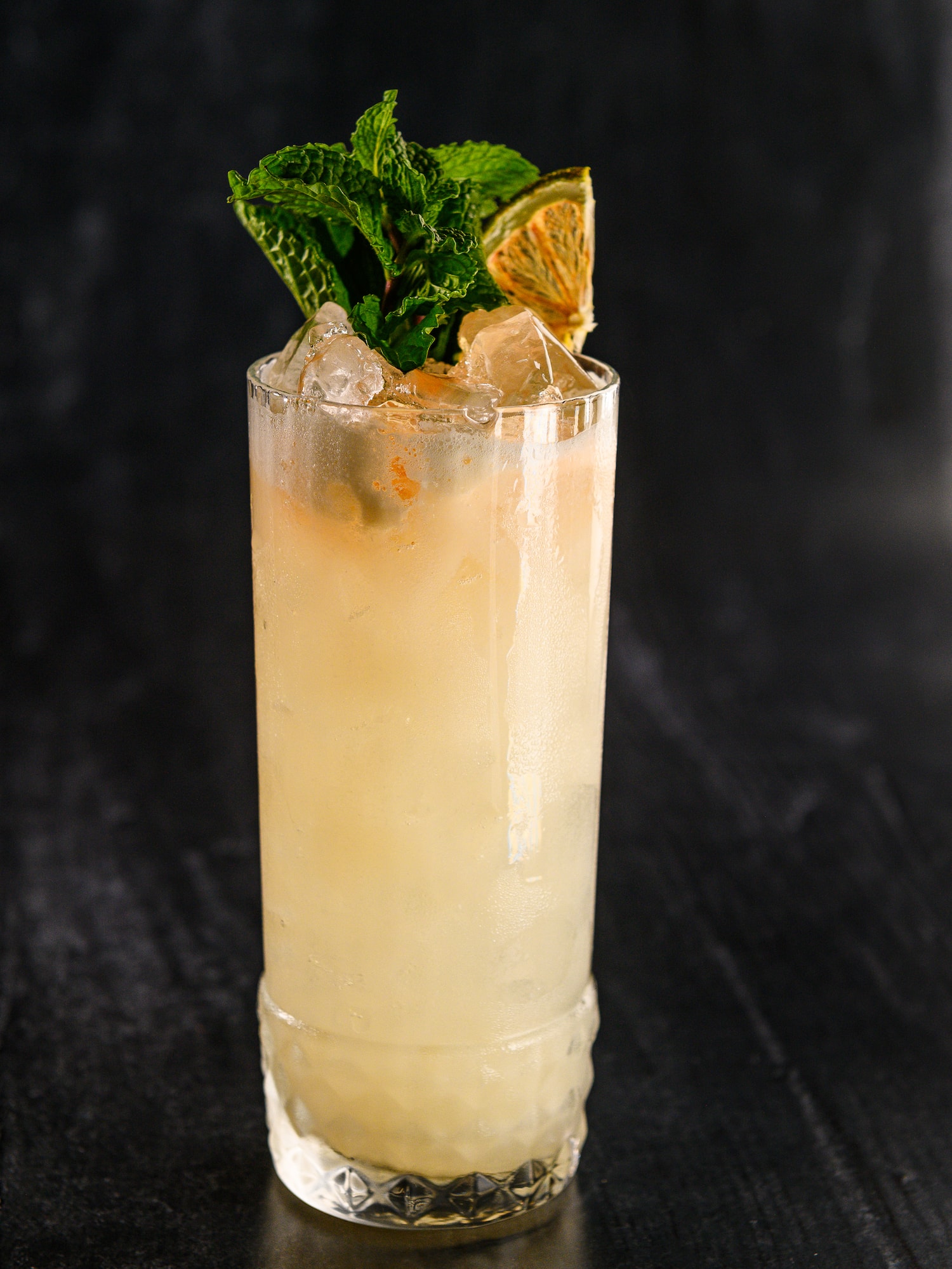 Refreshing pale cocktail in a tall glass with mint, dried citrus, and ice.