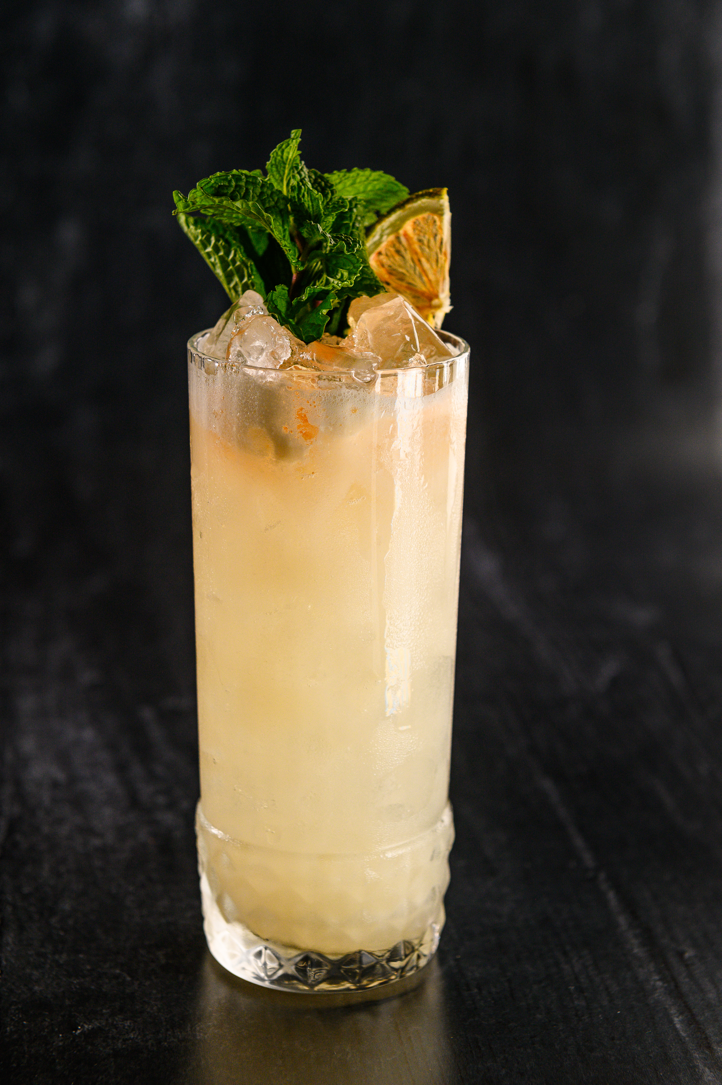 Refreshing pale cocktail in a tall glass with mint, dried citrus, and ice.