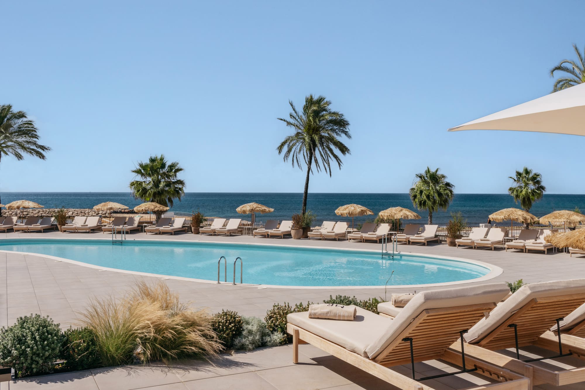 Luxury resort pool with ocean view, palm trees, and lounge chairs.