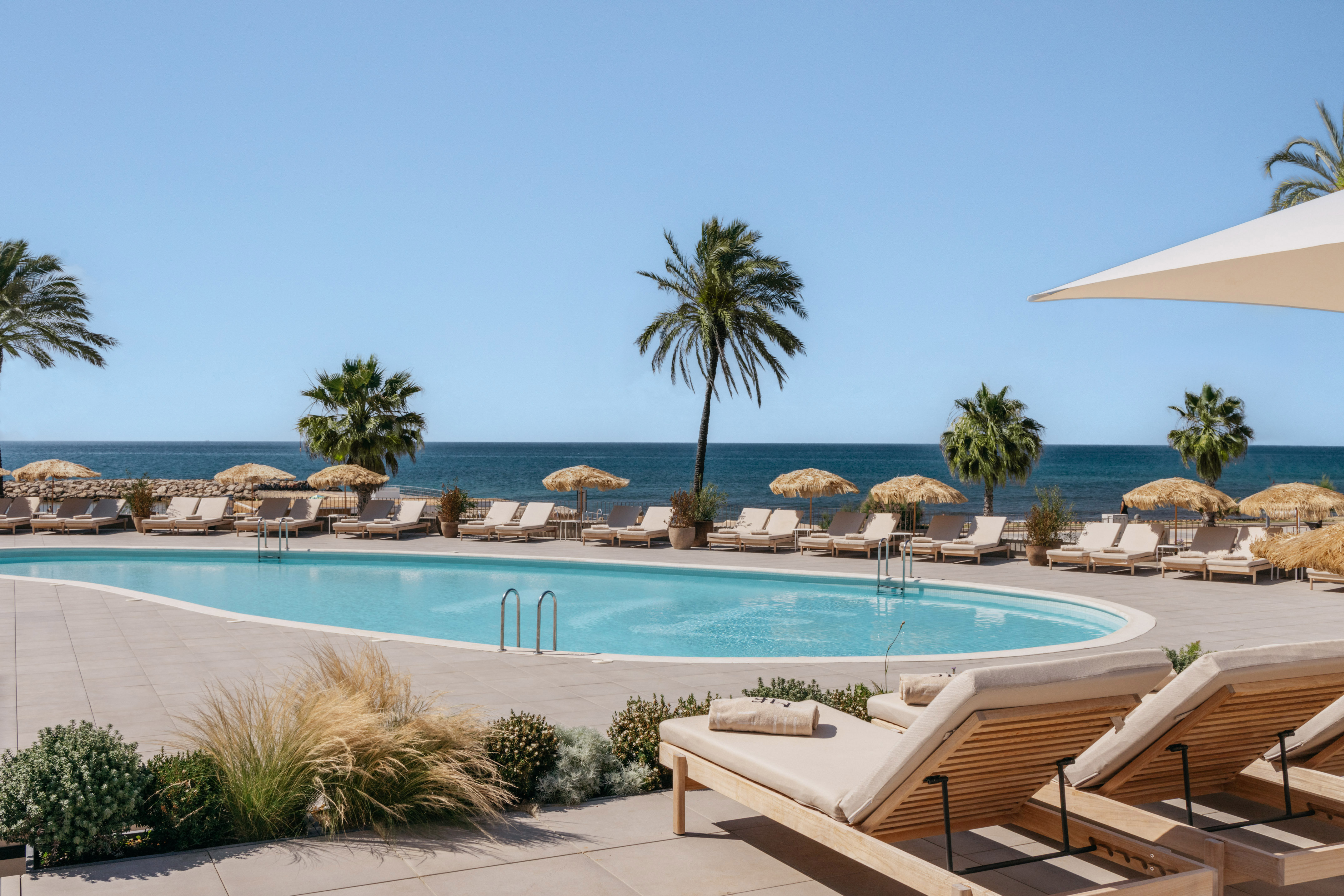 Luxury resort pool with ocean view, palm trees, and lounge chairs.