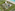 Beach resort master plan: hotels, villas, pools, and oceanfront.