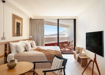 a bedroom with a bed and a television