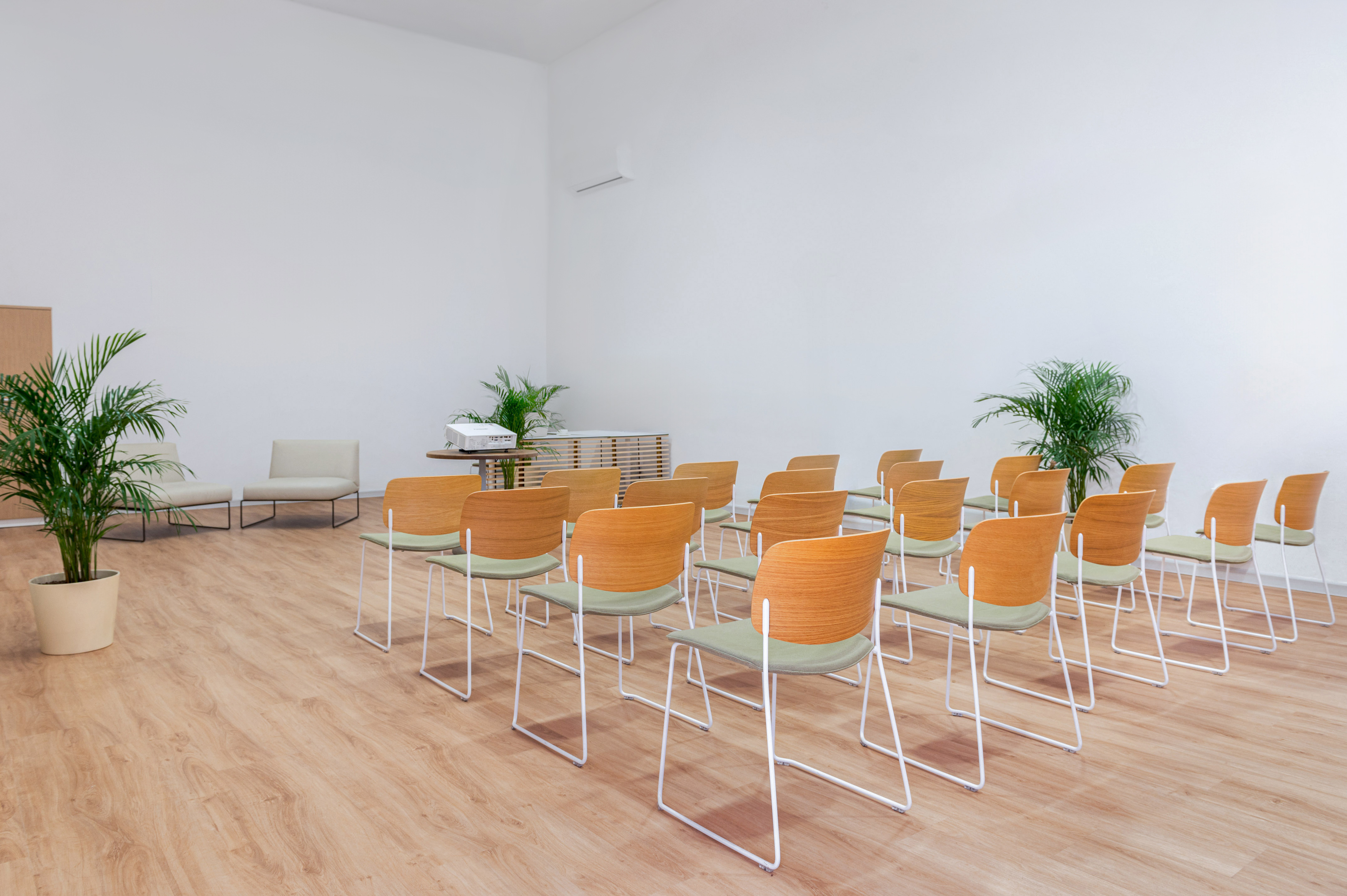 Minimalist meeting room with rows of modern chairs, projector, and potted plants.