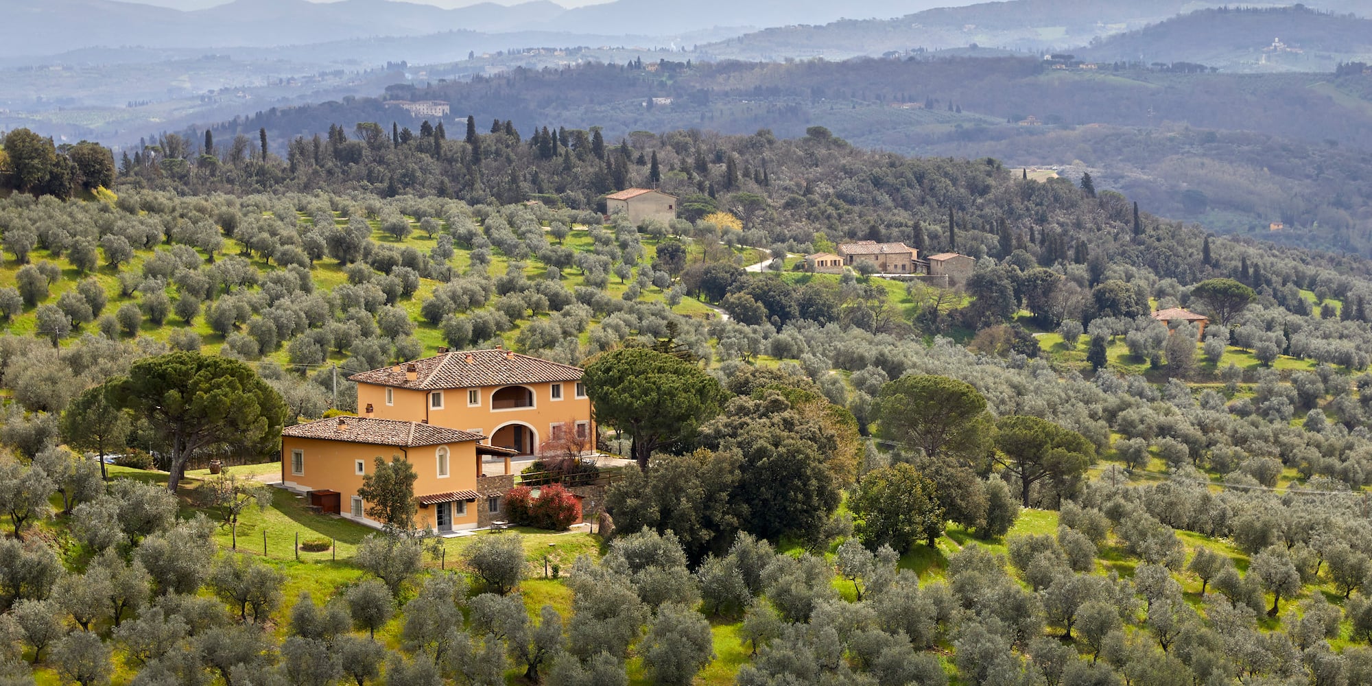 a house in a field of trees
