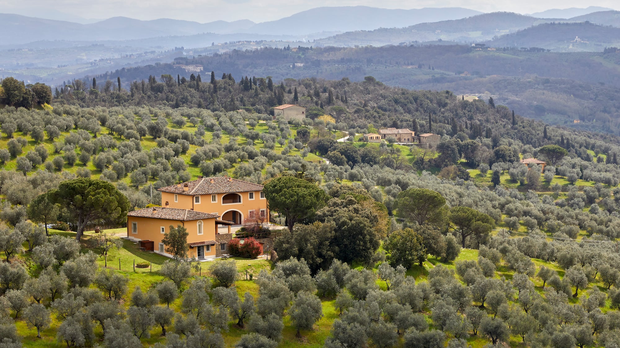 a house in a field of trees