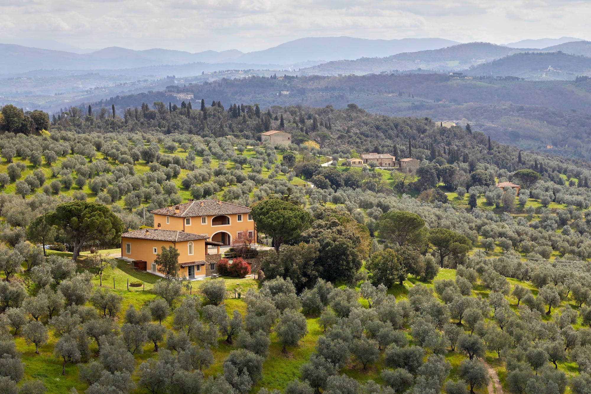 a house in a field of trees
