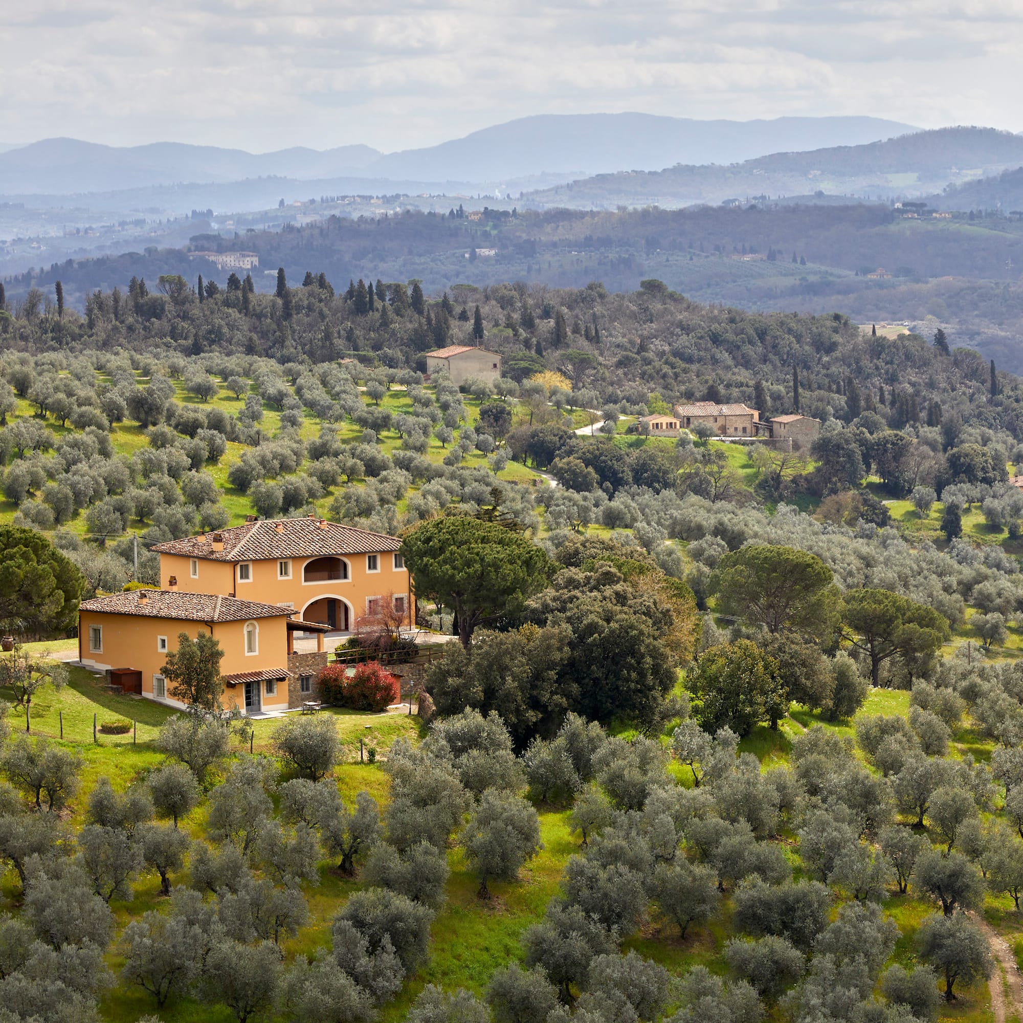 a house in a field of trees