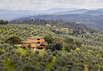 a house in a field of trees