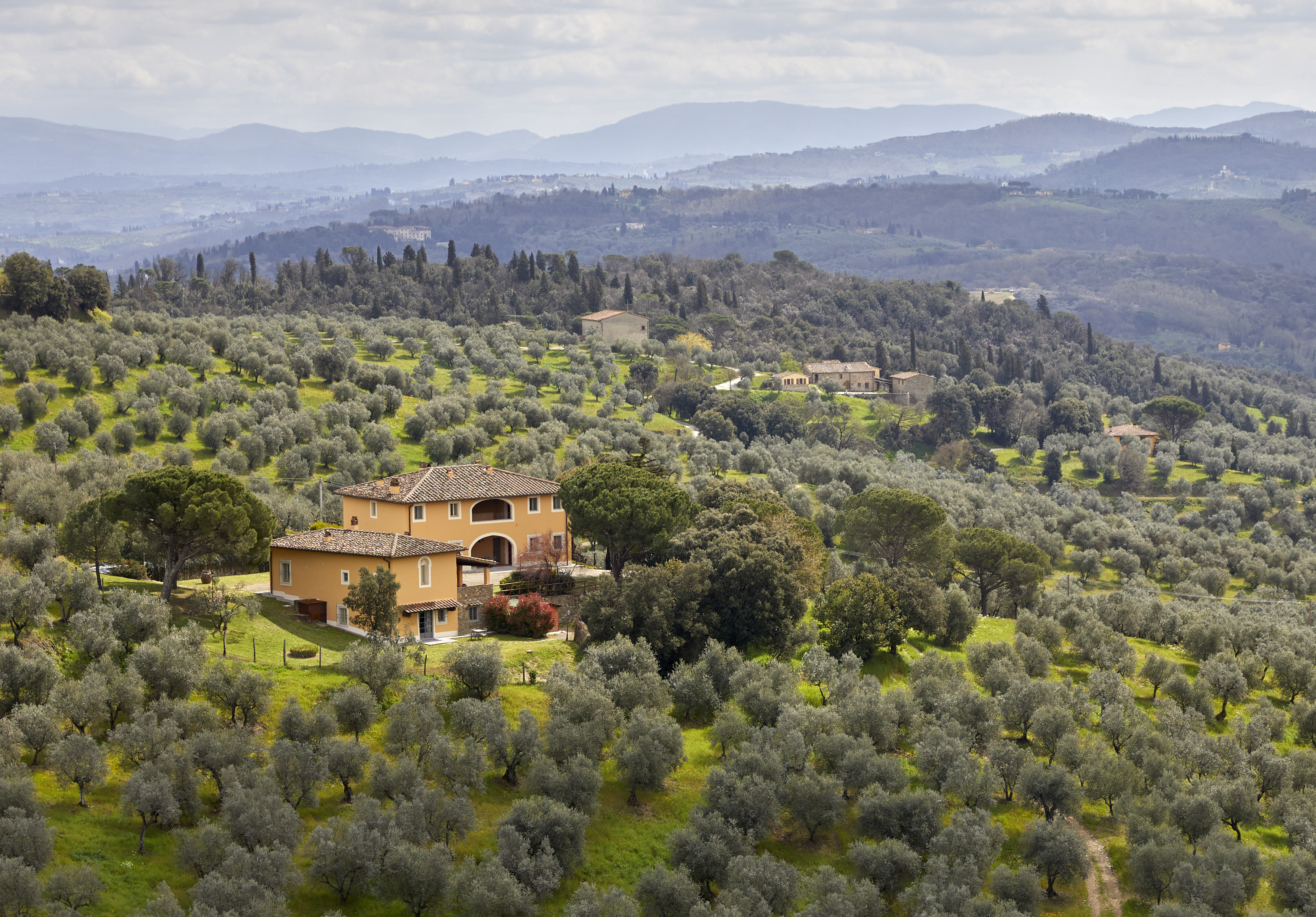 Tuscan villa amidst sprawling olive groves and rolling hills.