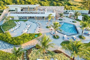 a pool and palm trees with chairs and tables