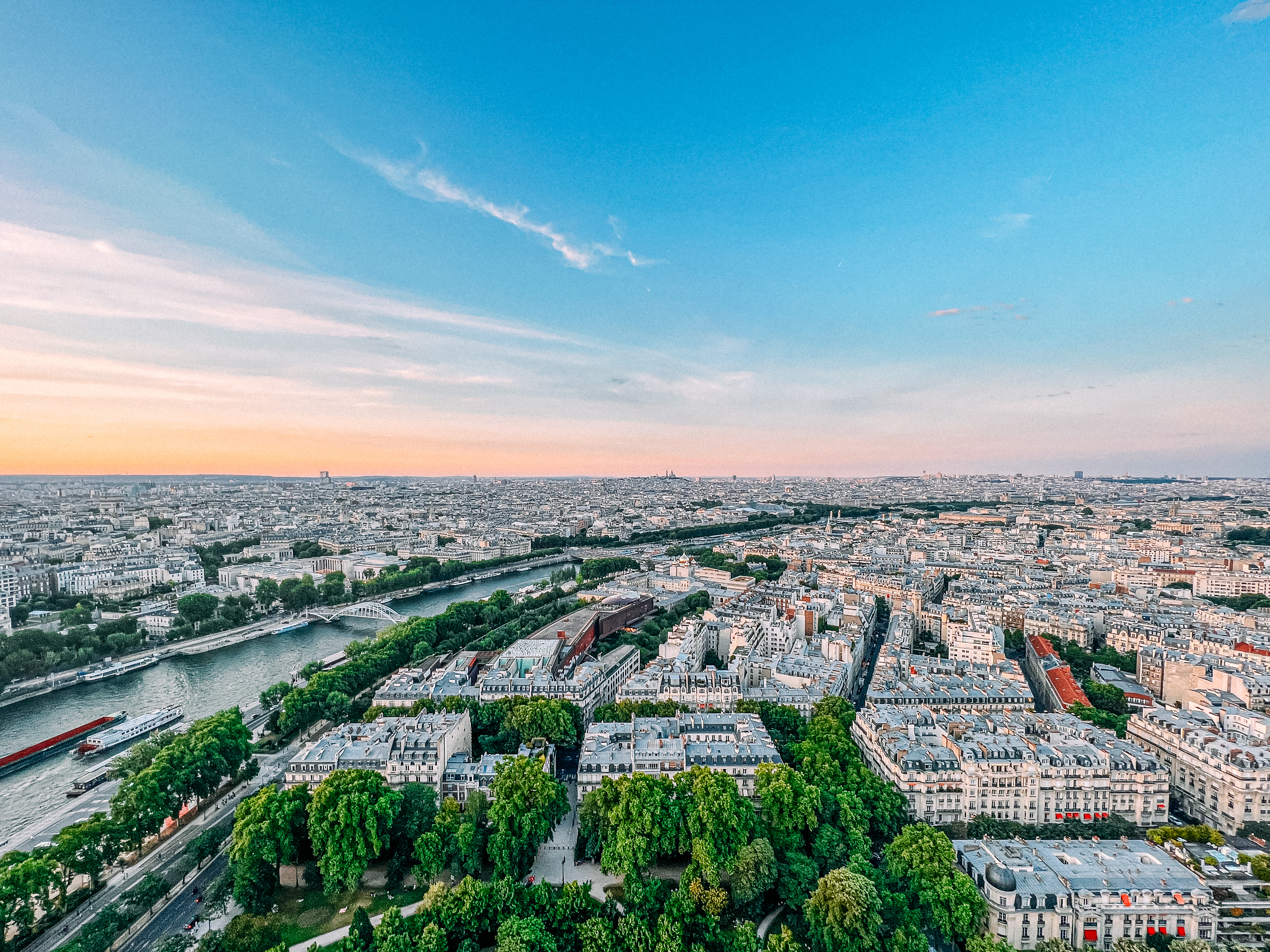 a city with trees and a river