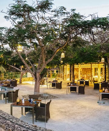 a restaurant with tables and chairs under trees