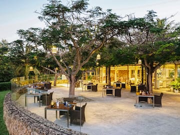a restaurant with tables and chairs under trees