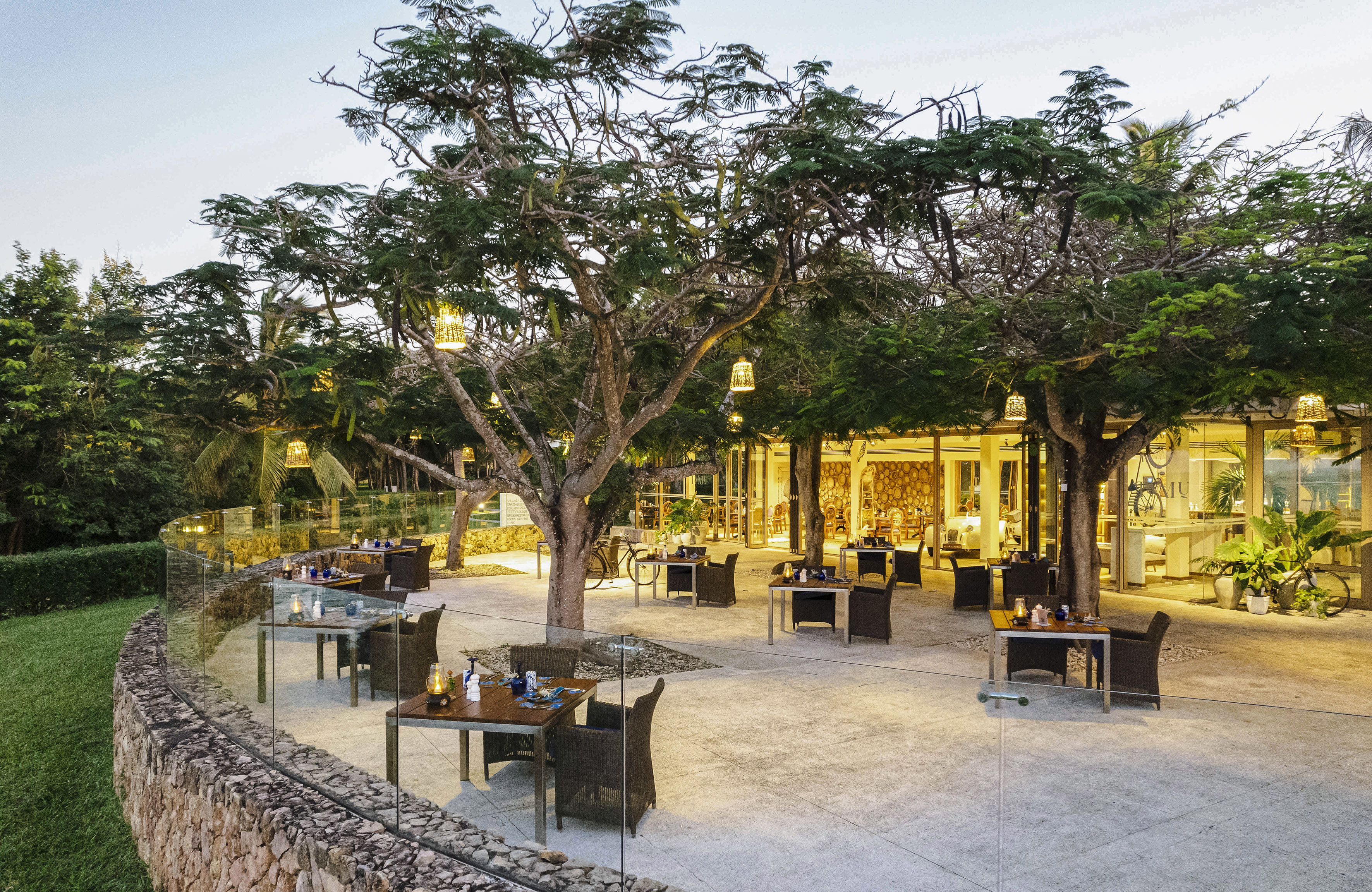 Outdoor restaurant patio with illuminated trees and dining tables at dusk.