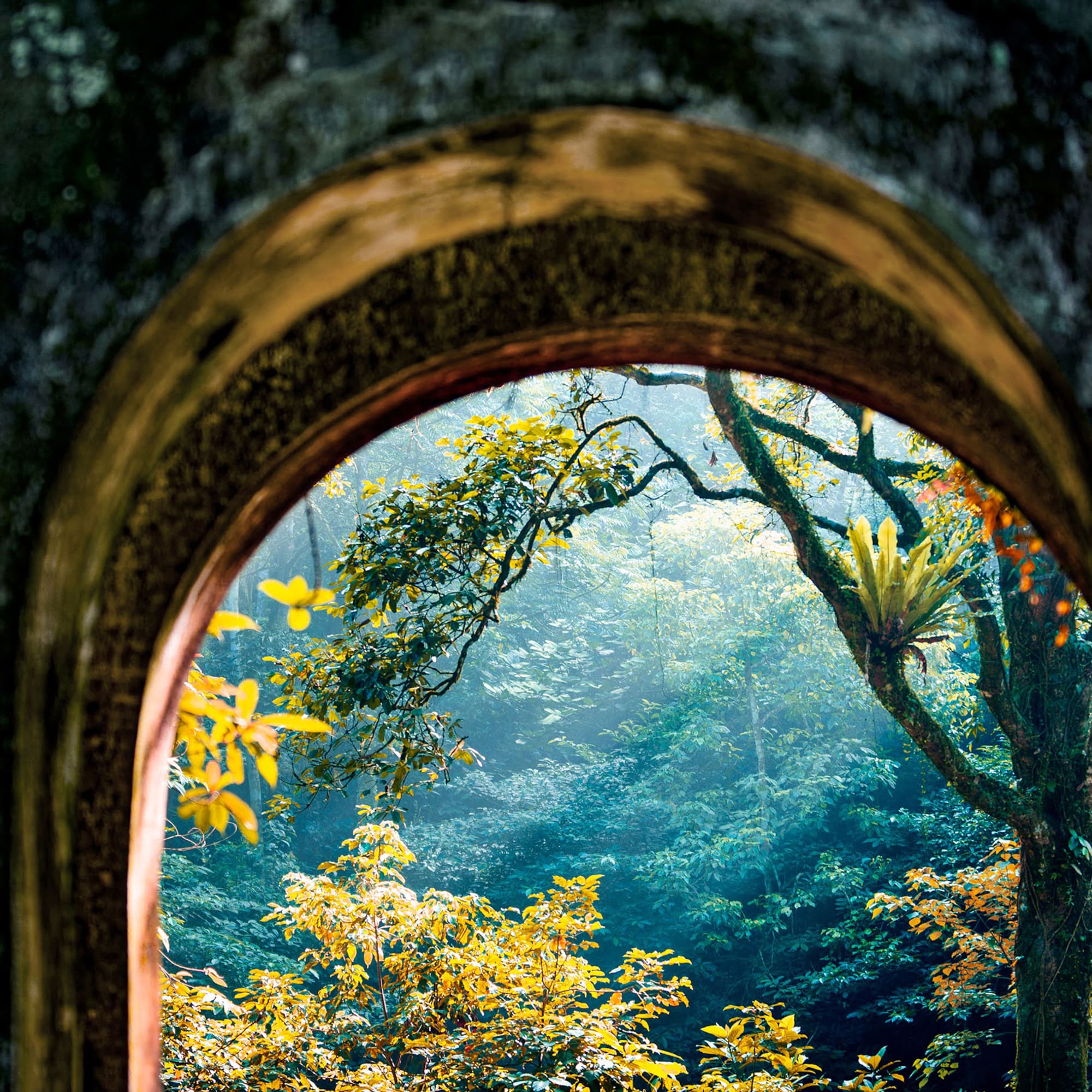 a view through a window of trees