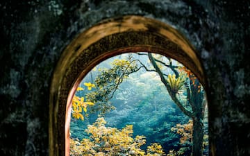 a view through a window of trees