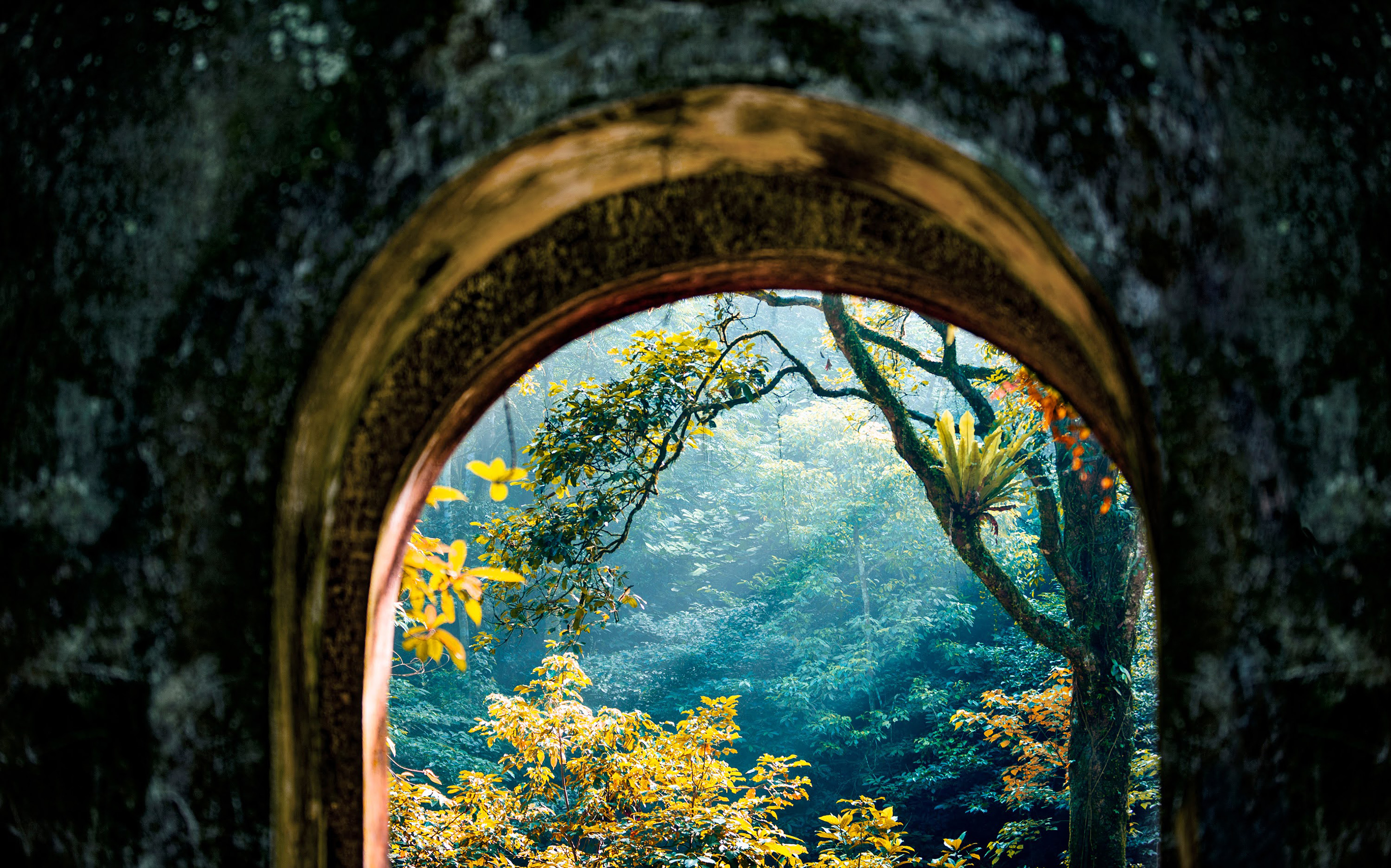 a view through a window of trees