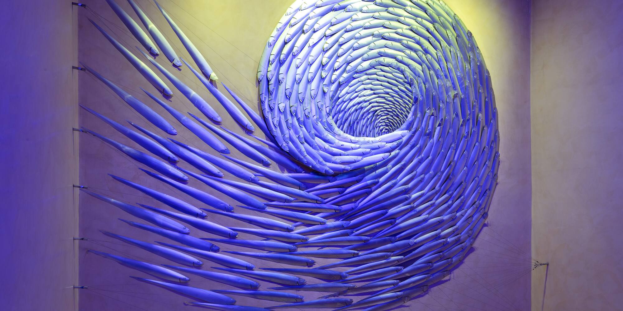 Blue fish art installation forming a swirling spiral on a wall.