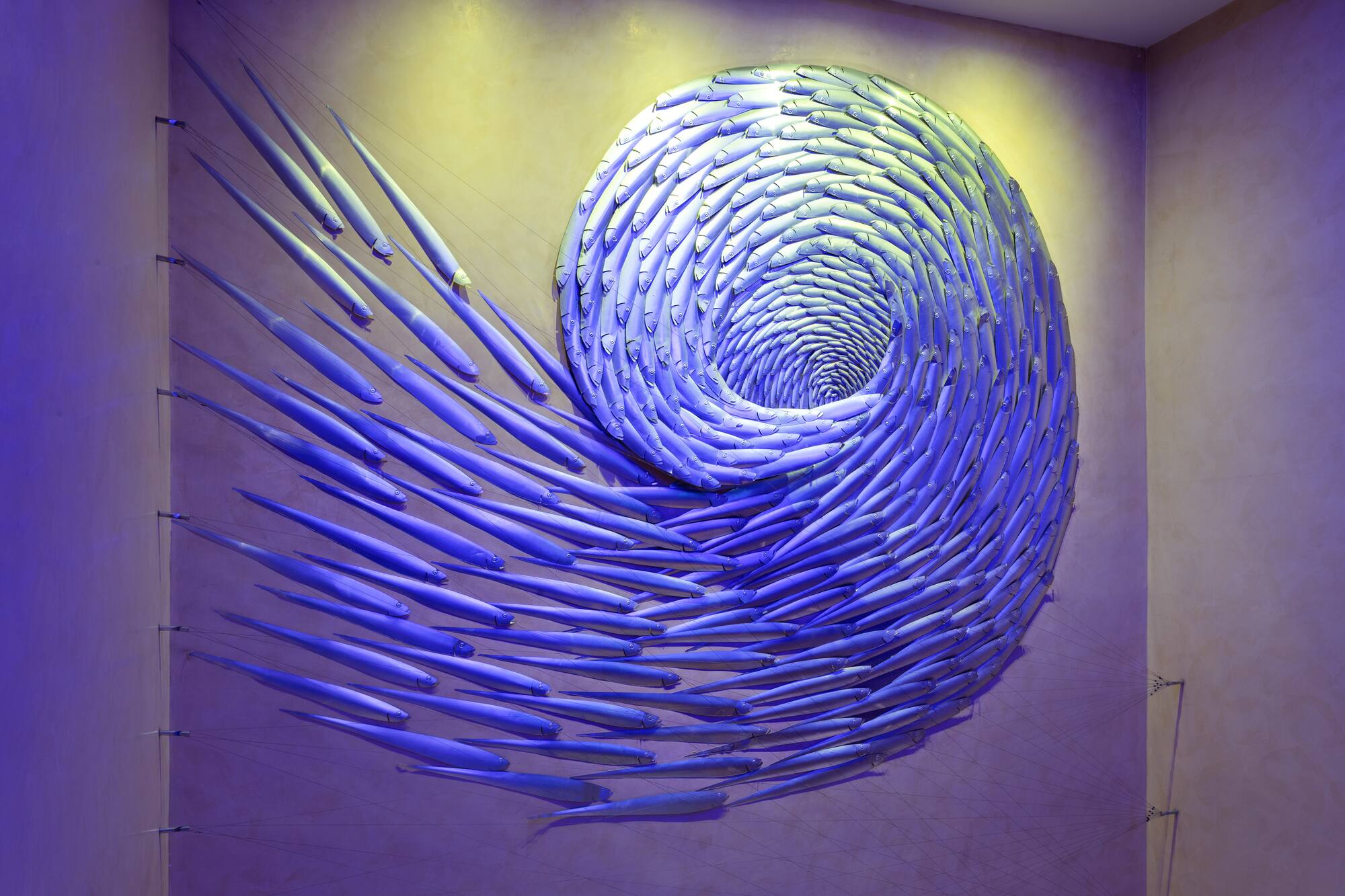 Blue fish art installation forming a swirling spiral on a wall.