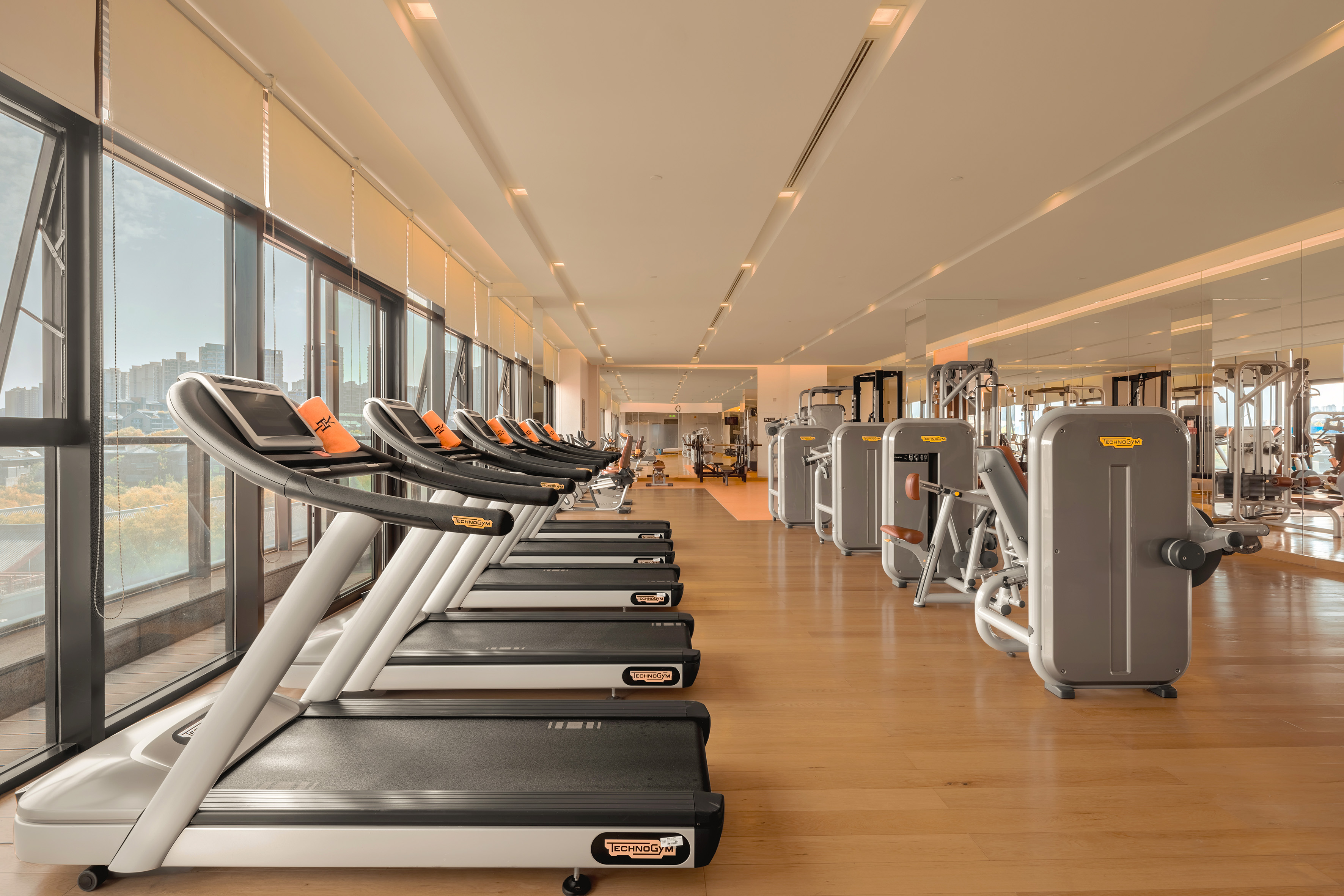 Technogym gym featuring treadmills, strength machines, and city view.