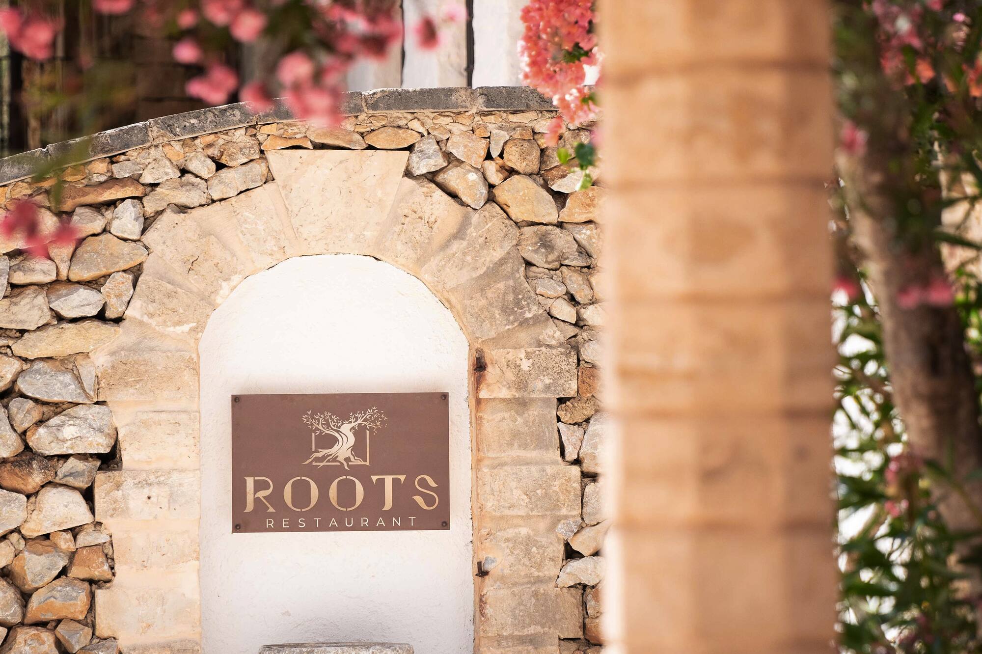 Roots Restaurant sign with olive tree logo on stone wall, framed by pink blooms.