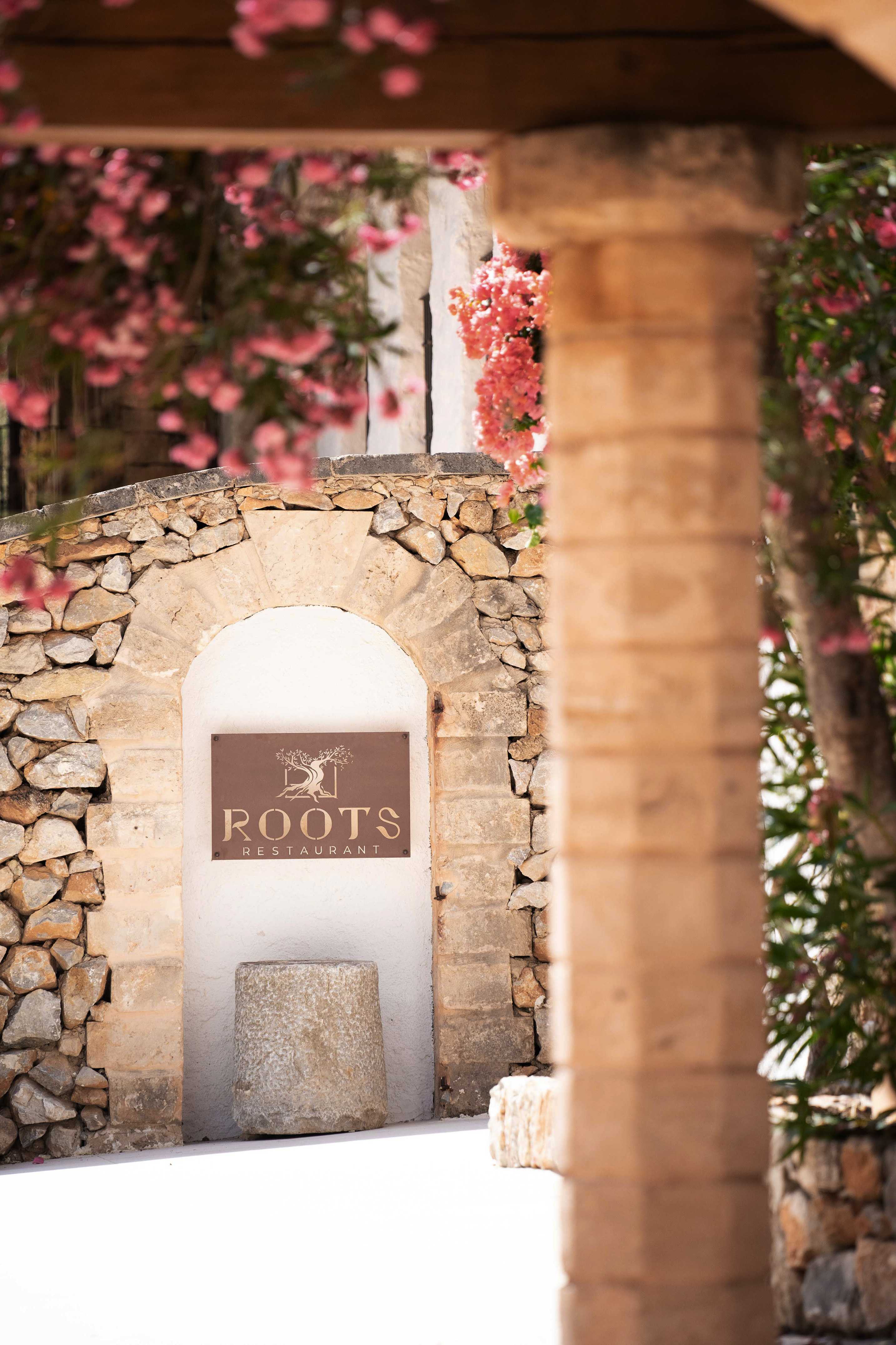Roots Restaurant sign with olive tree logo on stone wall, framed by pink blooms.