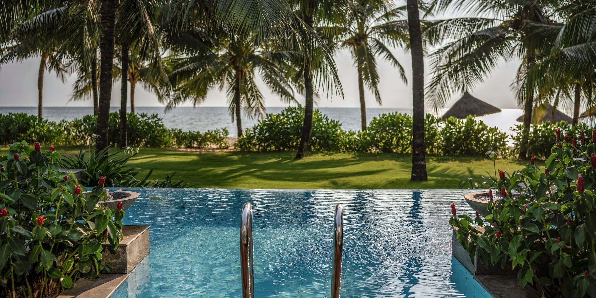a pool with palm trees and a beach